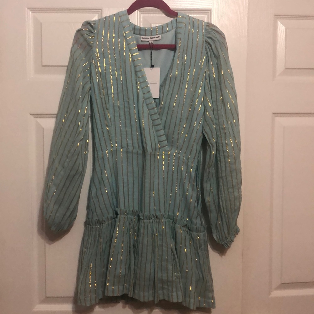 Karina Grimaldi NWT dress
